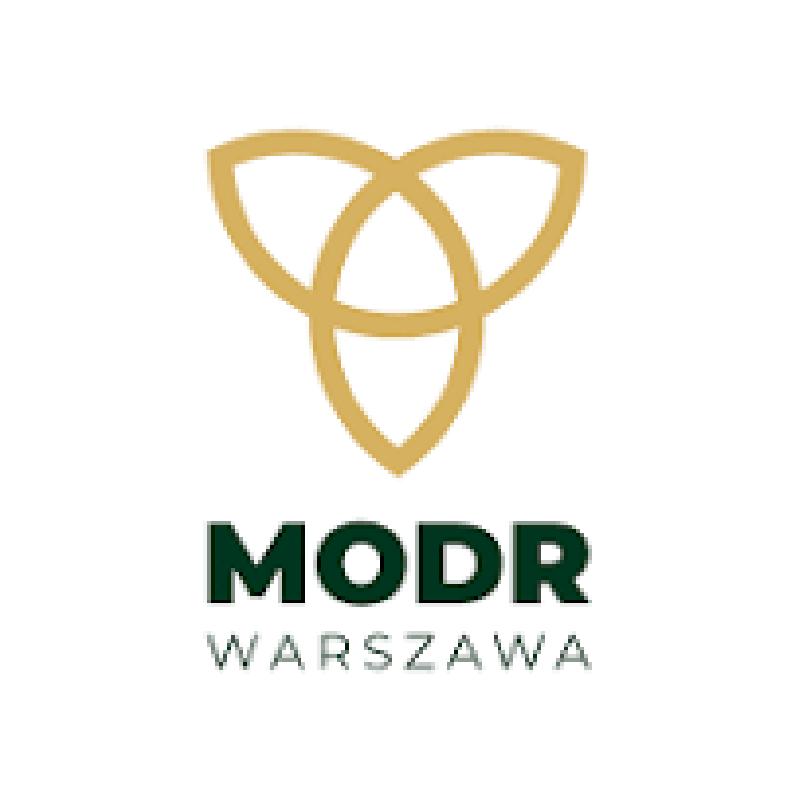 Modr company тема. МОДР. Modr.